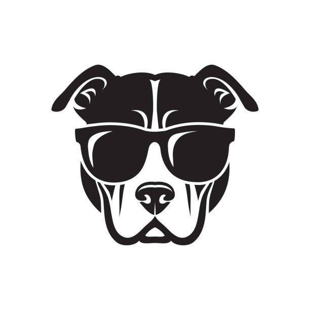 American Pitbull Terrier dog wearing sunglasses - isolated vector illustration American Pitbull Terrier dog wearing sunglasses pit bull power stock illustrations