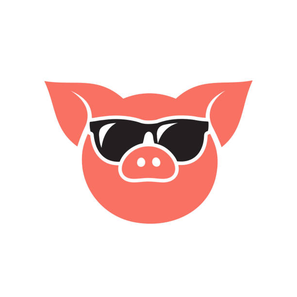 illustrations, cliparts, dessins animés et icônes de tête de cochon portant des lunettes de soleil icône-illustration vectorielle - pig