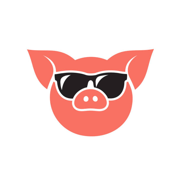 świnia głowa w okularach przeciwsłonecznych ikona - ilustracja wektorowa - domestic pig agriculture farm animal stock illustrations