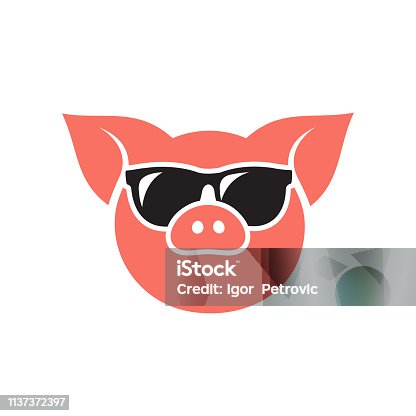 istock Pig head wearing sunglasses icon - vector illustration 1137372397
