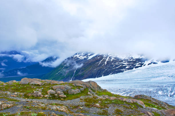 Closed clouds day, overlooking the Exit Glacier showing its blue ice, white snow, and a lush landscape. Portrait, fine art. Exit Glacier in Kenai Fjords National Park, Alaska. July 27, 2018