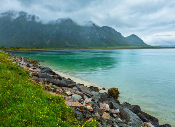 istock Lofoten fjords night view 1137373717