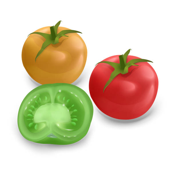 istock Set of ripe and red tomatoes isolated on white background, Tomato set in realistic style 1137379448