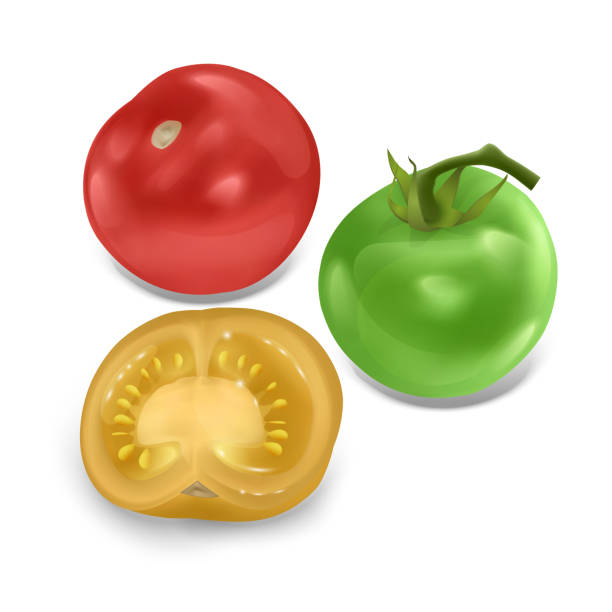 istock Set of ripe and red tomatoes isolated on white background, Tomato set in realistic style 1137379654