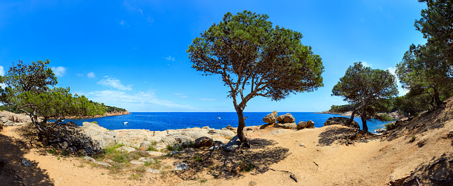 Mediterranean sea rocky coast summer panorama with pine trees, big stones and footpath (near Tamariu bay, Costa Brava, Catalonia, Spain).