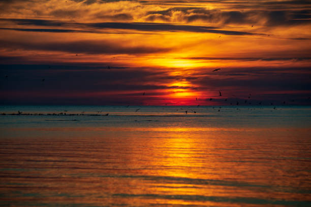 istock calm sunset with no wind on the lake 1137380911