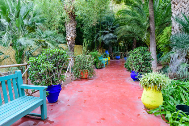 マジョレル庭園 - morocco majorelle gardens formal garden islam ストックフォトと画像