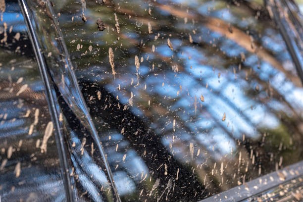 istock very dirty offroad car covered in mud 1137384604