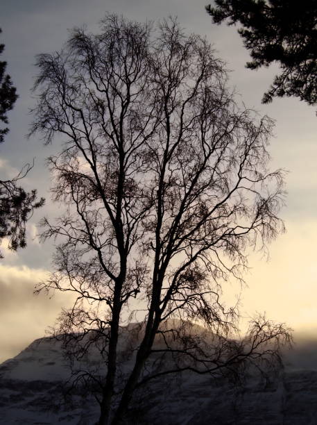 near Skibotn in Troms county, Norway