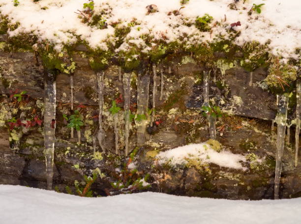 istock icicles in front of rock in snowy forrest 1137392338