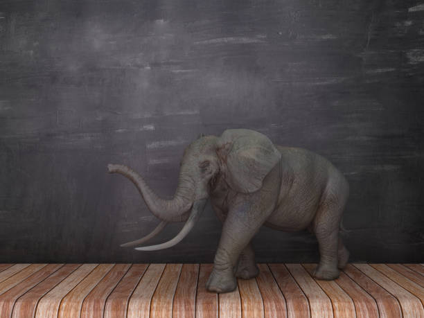 istock Elephant on Wood Floor - Chalkboard Background - 3D Rendering 1137394103