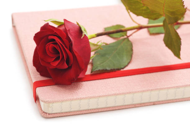 red rose on the notebook. - note rose image saturated color imagens e fotografias de stock