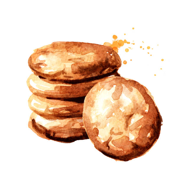 ciasteczka owsiane. ilustracja narysowana ręcznie akwarelą izolowana na białym tle - cookie sugar oatmeal isolated stock illustrations