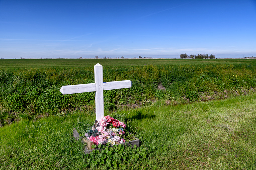 Rural roadside memorial commemorating a site where a person died unexpectedly, with Central Valley farmland in the background.\n\nTaken in the San Joaquin Valley, California, USA.