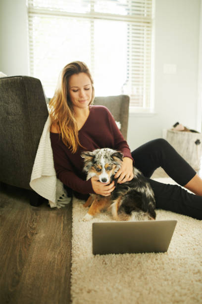 istock That's a lot of dog memes 1137397672