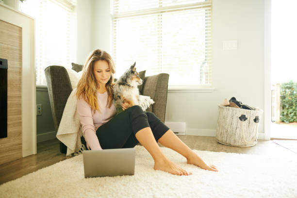 istock Home is the pawfect place to be 1137397680
