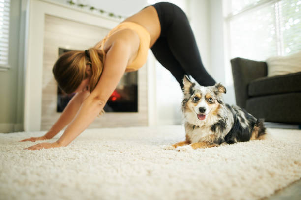 istock The furriest personal trainer 1137398985