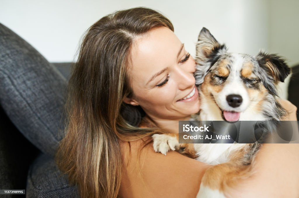 Giving him a home of love Shot of a young woman spending quality time with her dog at home Dog Stock Photo