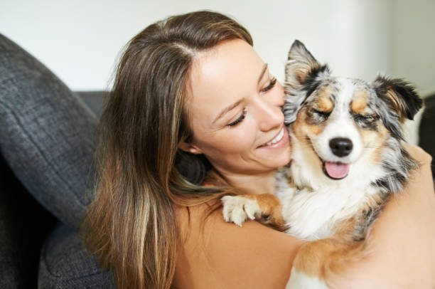 Giving him a home of love Shot of a young woman spending quality time with her dog at home shetland sheepdog stock pictures, royalty-free photos & images