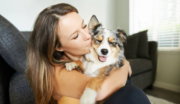 istock Cuddles and kisses make for a happy pet 1137399001