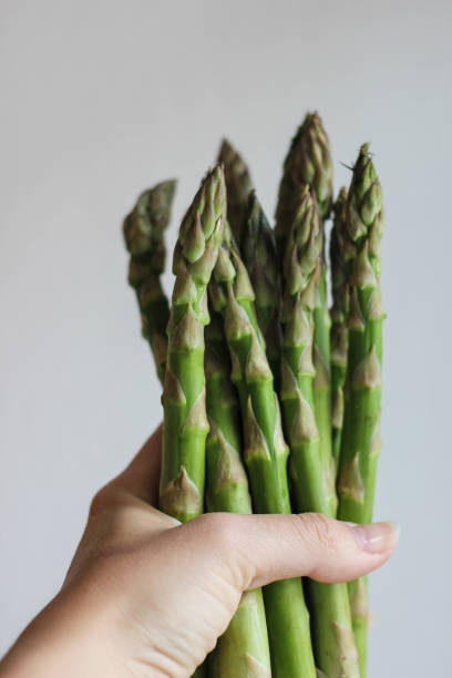 istock A bunch of asparagus in a hand 1137399749