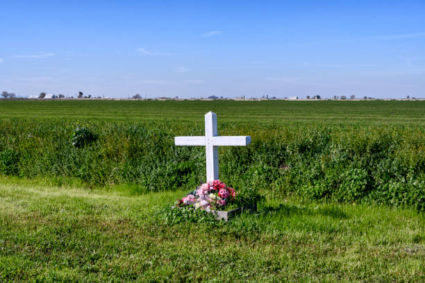 istock Rural Roadside Memorial with Farmland in Background 1137400854