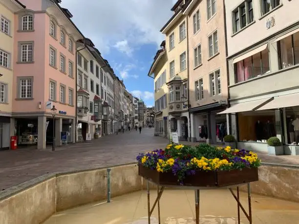 Fountain and flowers in swiss town