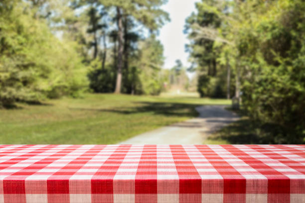 Defocused summer, park scene with blank picnic table in foreground.  Background for object placement or copyspace.  Foot path with shade trees.