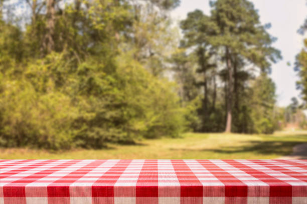 istock Defocused summer park scene with blank picnic table. 1137404550