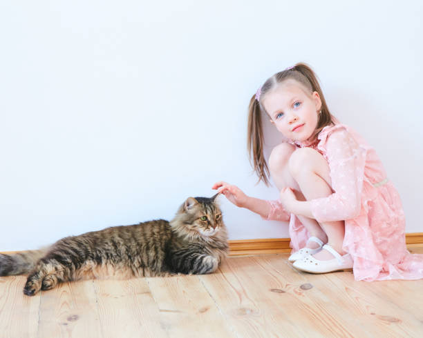 istock Little girl playing with cat at home 1137407252