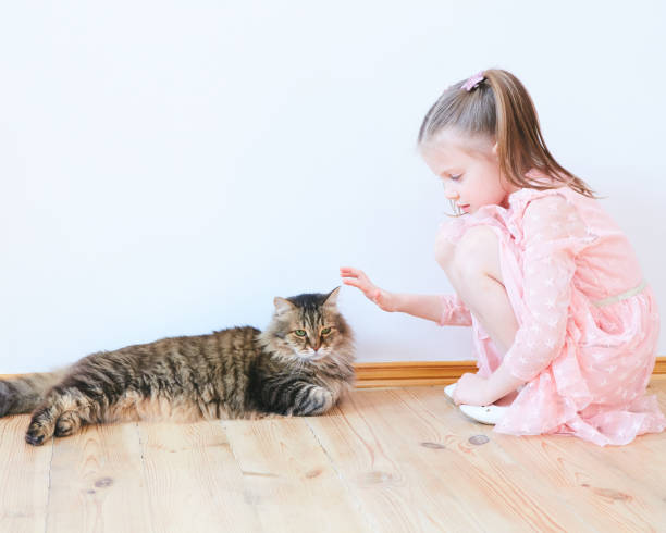 istock Little girl playing with cat at home 1137407255