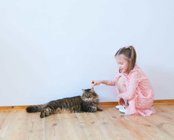 istock Little girl playing with cat at home 1137407256