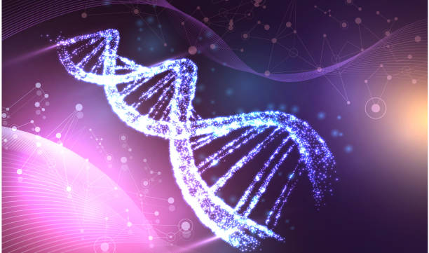 istock Abstract luminous DNA molecule, neon helix on purple background. Medical science, genetic, biotechnology, chemistry, biology. 1137409574