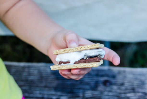 Smore's, a delicious sweet treat with roasted marshmallow, graham cracker and chocolate. stock photo