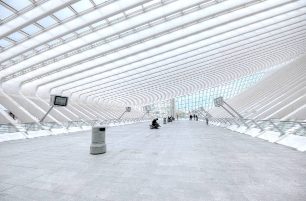 Liege Central Train Station by architect Santiago Calatrava, Belgium taken in October 2013