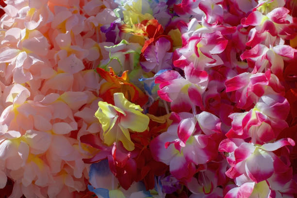다양 한 색상의 레이 플라워 화 환 - garland hawaii islands hawaiian culture party 뉴스 사진 이미지