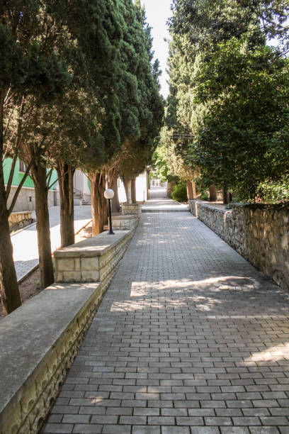 istock Shady cypress alley. 1137414017
