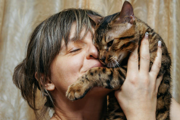 istock Woman hugging a bengal cat 1137414466