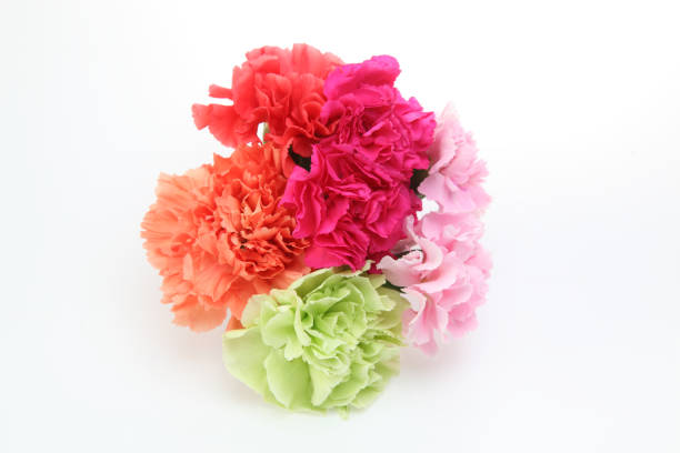bouquet of carnation in a white background.