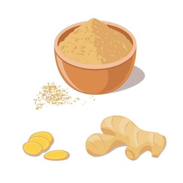Ginger Powder and Root Fresh ginger root and powder in bowl. ginger ground spice root stock illustrations