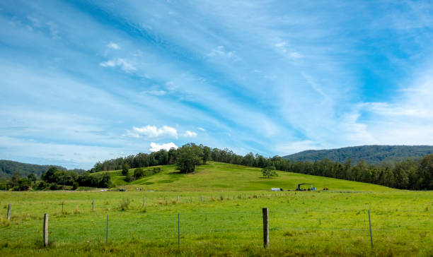 istock Australian countryside landscape 1137415863