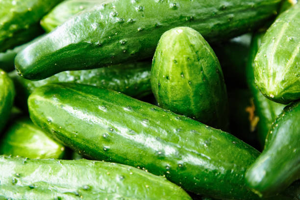 istock Fresh Raw Green Cucumbers 1137415881