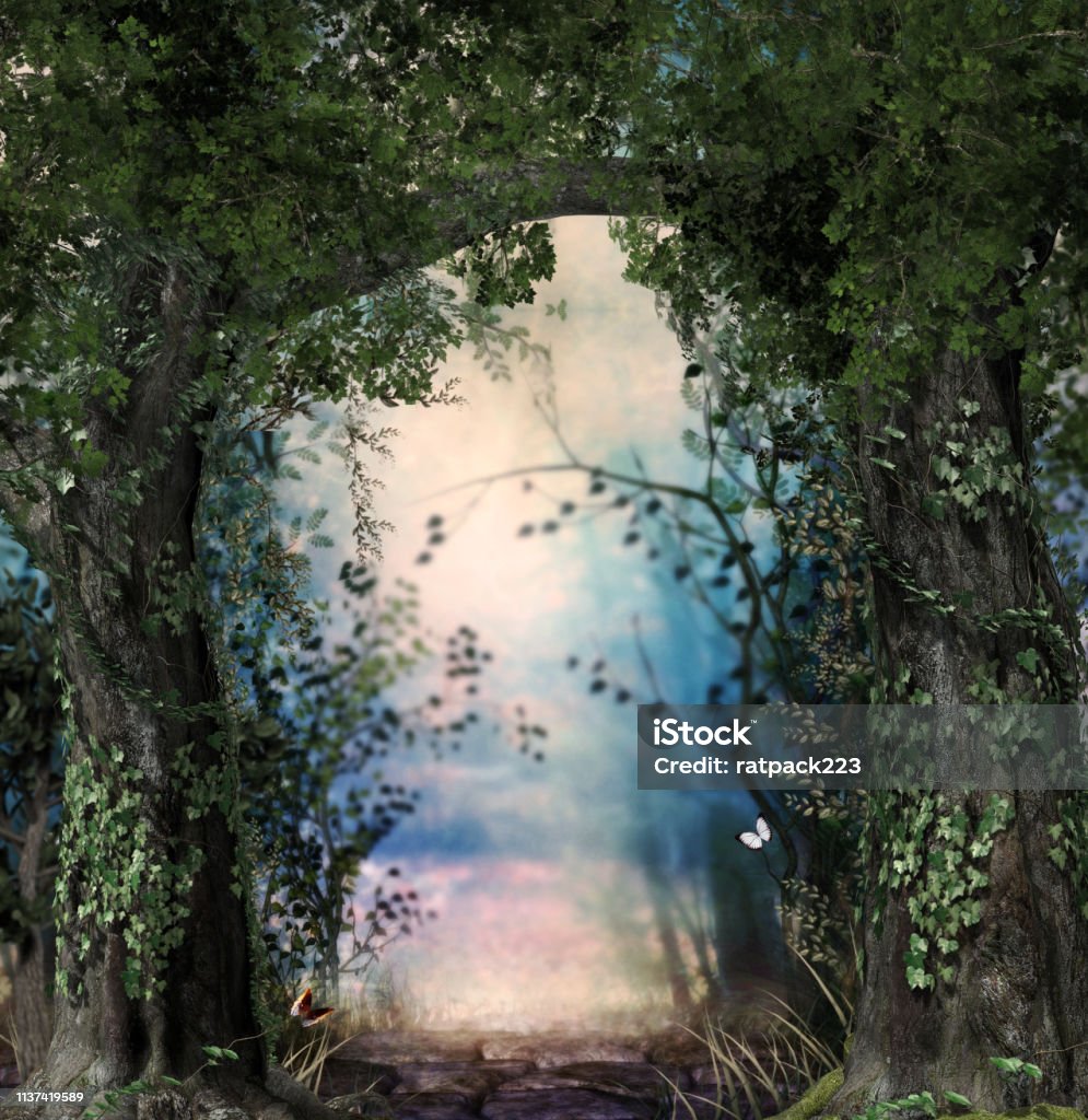 Stonepath Qua Một Khu Rừng Tươi Tốt Huyền Diệu Hình ảnh Sẵn có ...