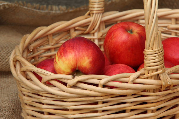 istock Autumn still life with beautiful ripe apples 1137420337