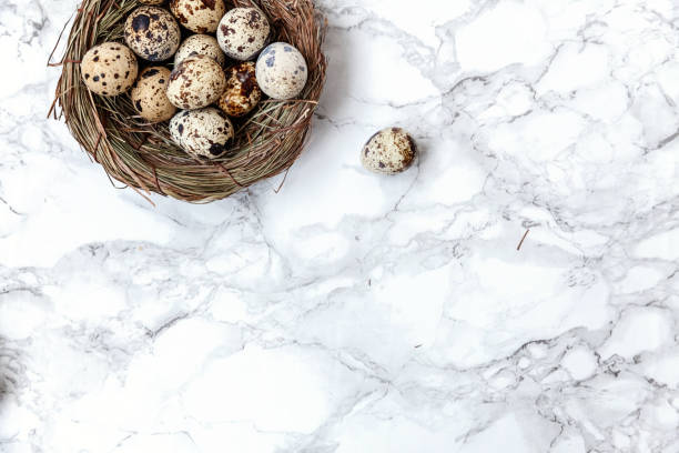 istock Easter decoration with egg in nest on white marble background 1137424336