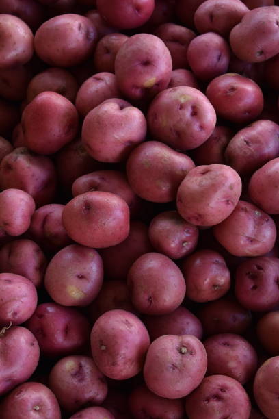 istock pile of red potatoes 1137431919