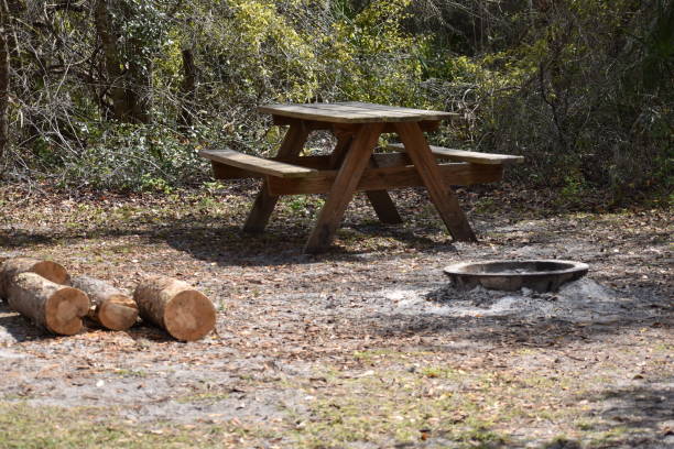 istock Bench in the forest with fire pit and wood 1137432954