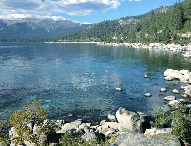 istock Shore of Lake Tahoe 1137434200