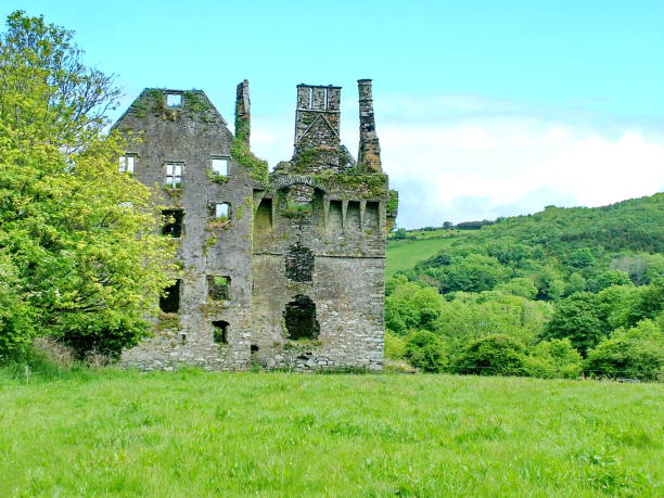 istock Coppinger's Court Castle ruins 1137439064