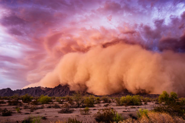 Dust storm at sunset in the Arizona desert. stock photo